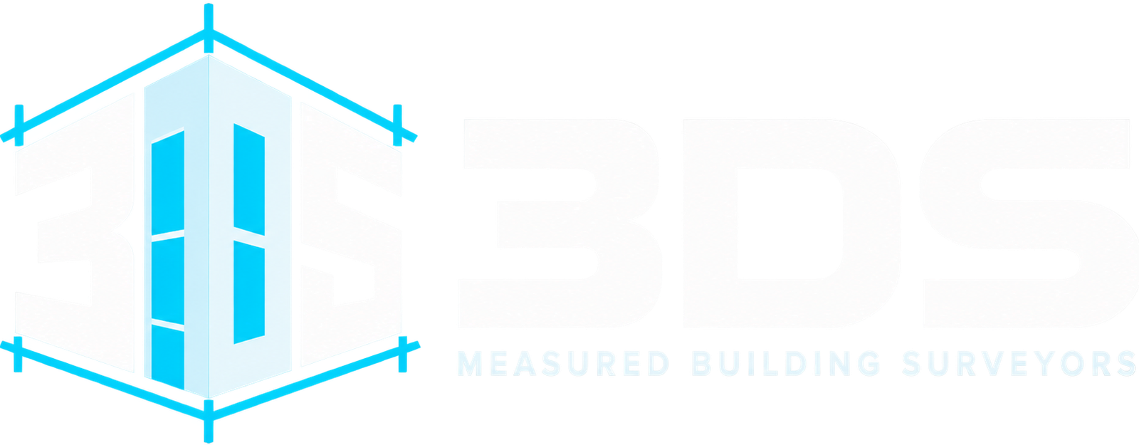 3dsurveyours